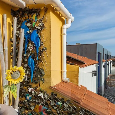 Apartamento Peaceful Loft - Amazing Terrace & View